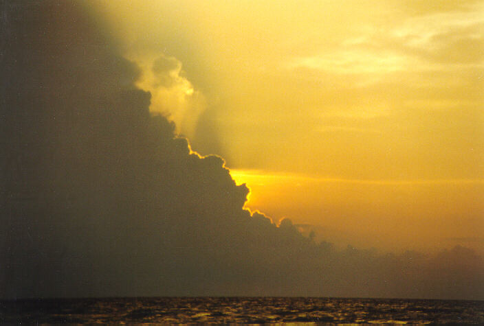 thunderstorm cumulonimbus_calvus : Darwin, NT   3 December 1997