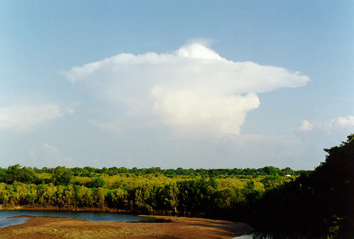 pileus pileus_cap_cloud : Darwin, NT   4 December 1997