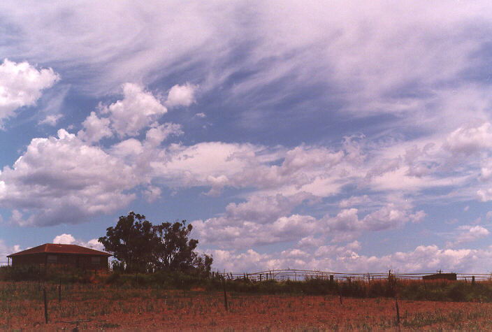cirrus cirrus_cloud : Schofields, NSW   21 December 1997