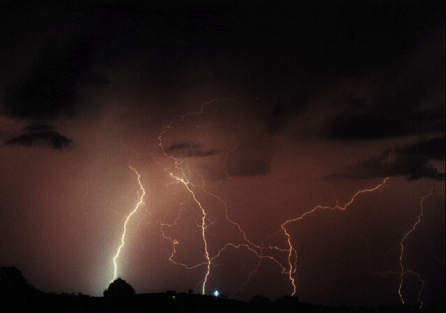 contributions received : near Grafton, NSW<BR>Photo by Steve Baynham   21 December 1997