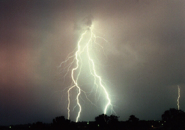 contributions received : near Grafton, NSW<BR>Photo by Steve Baynham   21 December 1997