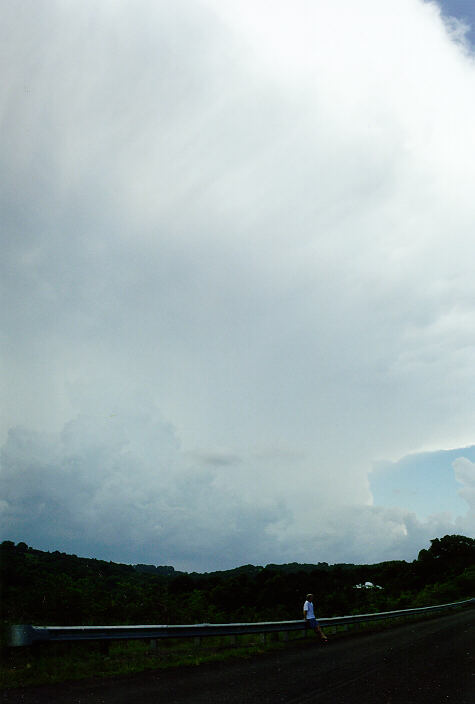 anvil thunderstorm_anvils : Alstonville, NSW   24 December 1997