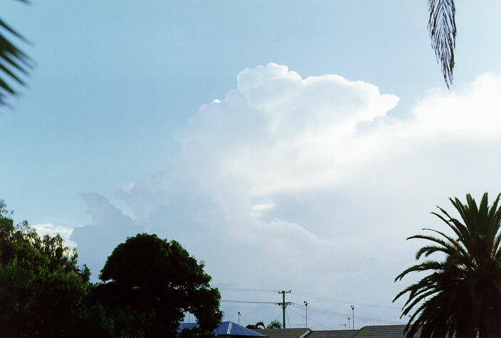 cumulus congestus : Ballina, NSW   25 December 1997