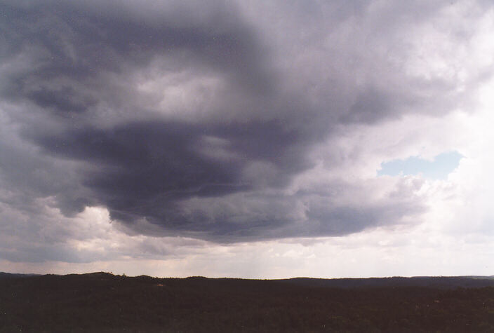 cumulonimbus thunderstorm_base : Mt Tomah, NSW   31 December 1997