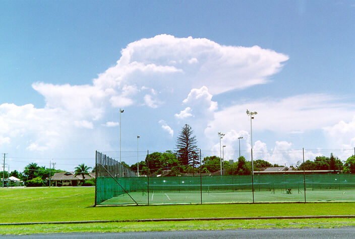 contributions received : Ballina, NSW<BR>Photo by John Bath   1 January 1998