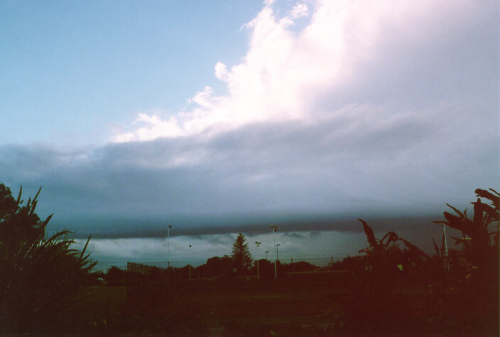 contributions received : Ballina, NSW<BR>Photo by John Bath   1 January 1998