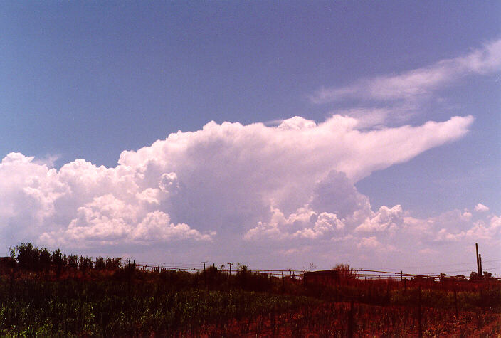 thunderstorm cumulonimbus_incus : Schofields, NSW   1 January 1998