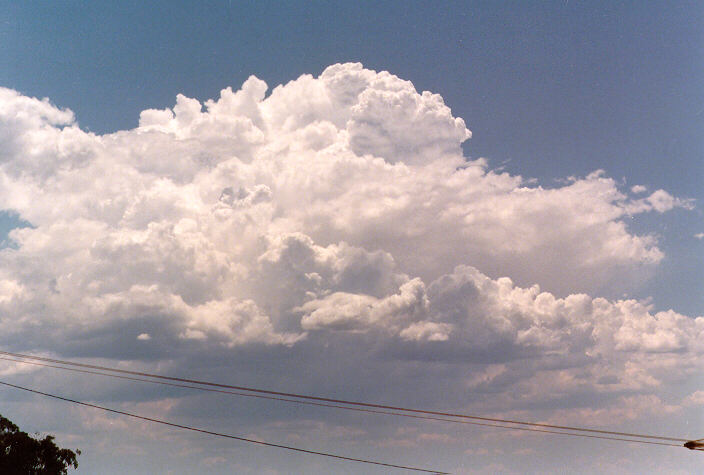 thunderstorm cumulonimbus_calvus : Schofields, NSW   2 January 1998