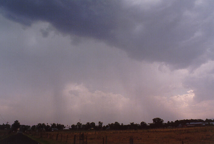raincascade precipitation_cascade : McGraths Hill, NSW   3 January 1998
