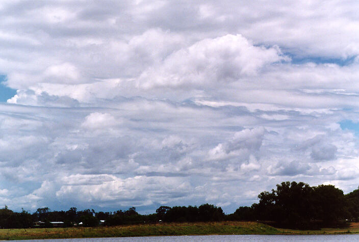 cumulus humilis : Grafton, NSW   15 January 1998