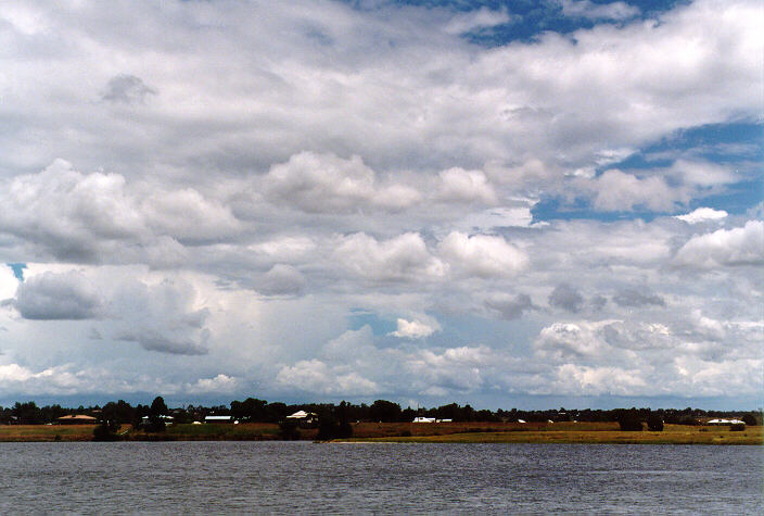 cumulus mediocris : Grafton, NSW   15 January 1998