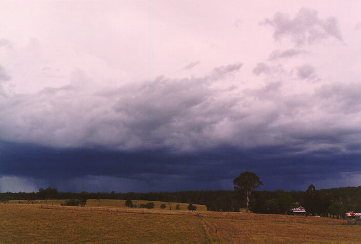 raincascade precipitation_cascade : South Grafton, NSW   15 January 1998