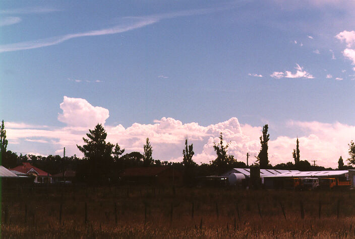 cirrus cirrus_cloud : Armidale, NSW   19 January 1998