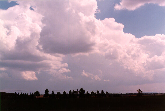 raincascade precipitation_cascade : near Singleton, NSW   20 January 1998