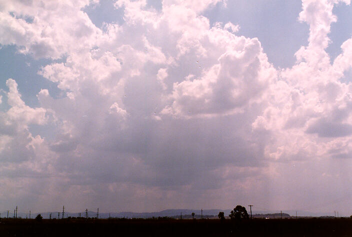 thunderstorm cumulonimbus_calvus : near Singleton, NSW   20 January 1998