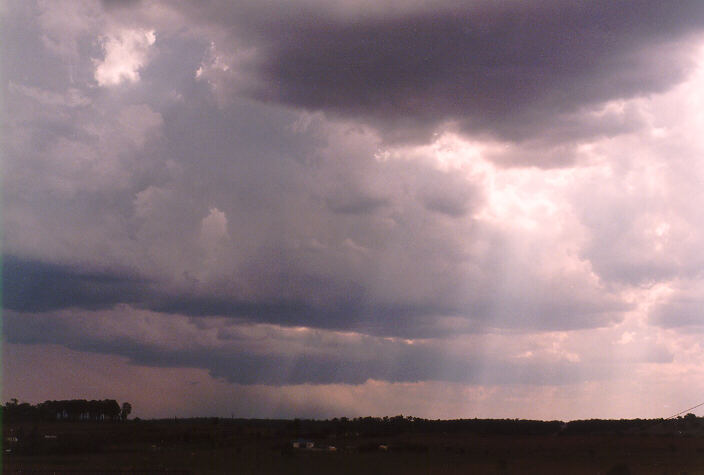 cumulonimbus thunderstorm_base : Brankxton, NSW   20 January 1998