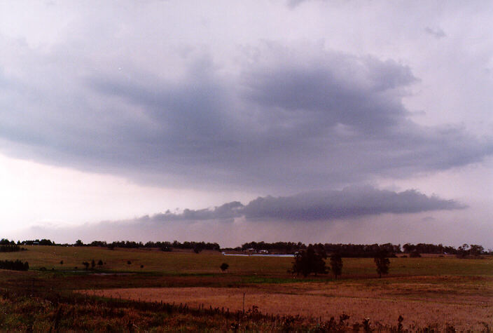stratus stratus_cloud : Maitland, NSW   20 January 1998