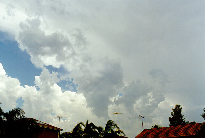 anvil thunderstorm_anvils : Ballina, NSW   20 January 1998