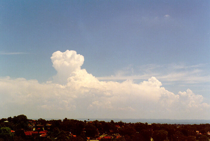 cirrus cirrus_cloud : Rooty Hill, NSW   1 February 1998