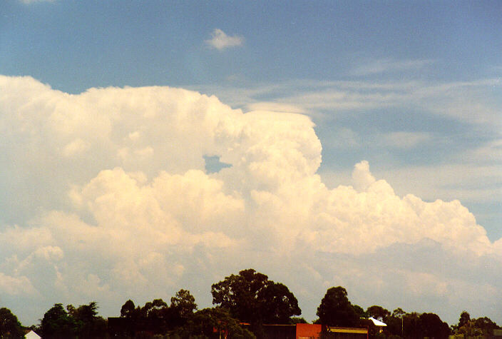 thunderstorm cumulonimbus_incus : Rooty Hill, NSW   1 February 1998