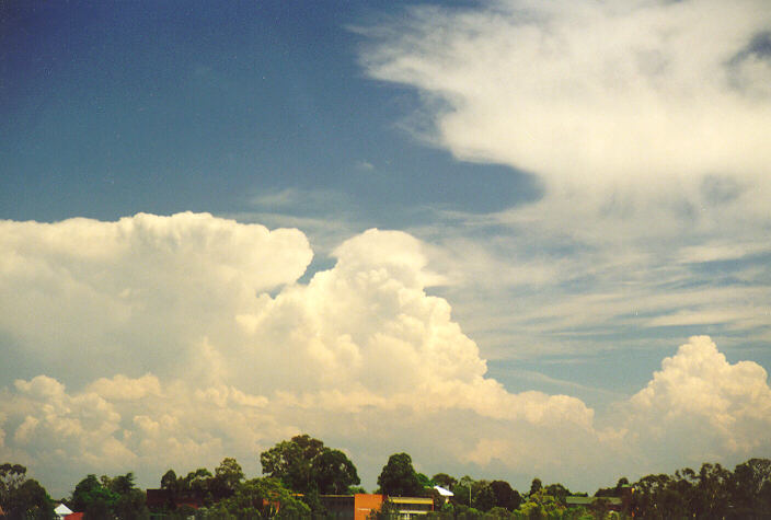 cirrus cirrus_cloud : Rooty Hill, NSW   1 February 1998