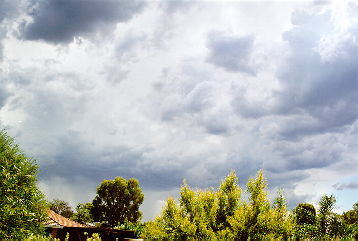 cumulonimbus thunderstorm_base : Oakhurst, NSW   12 February 1998
