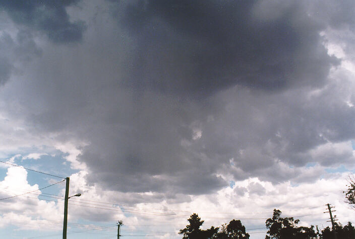 cumulus congestus : Prospect, NSW   15 February 1998