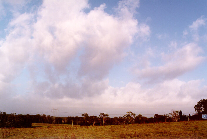 cumulus mediocris : Schofields, NSW   23 February 1998