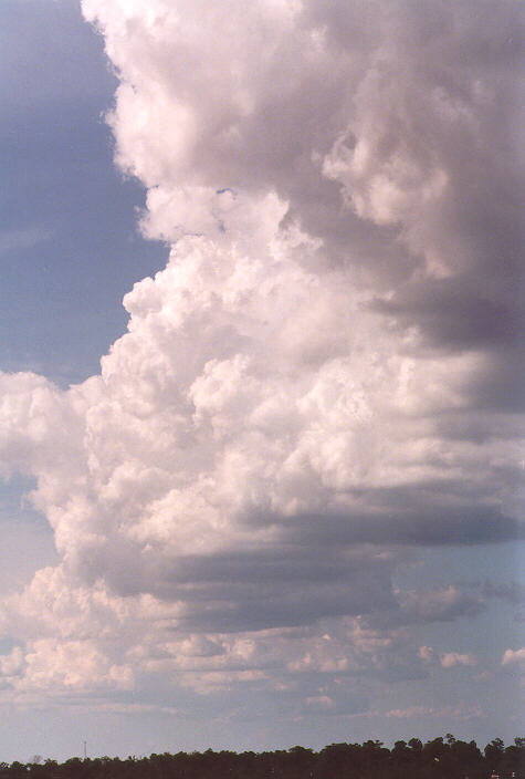 cumulonimbus thunderstorm_base : Schofields, NSW   3 March 1998