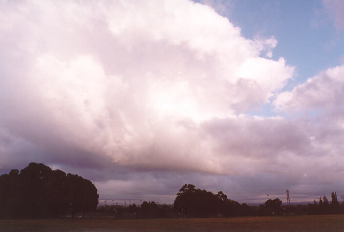 cumulus mediocris : St Marys, NSW   17 March 1998