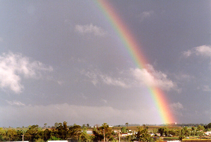 rainbow rainbow_pictures : Schofields, NSW   10 April 1998