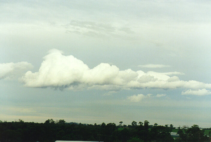 cumulus mediocris : Rooty Hill, NSW   21 April 1998