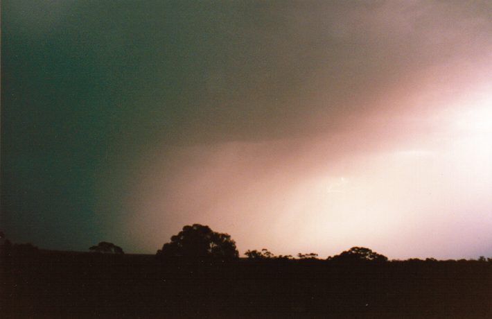 contributions received : Murtoa, VIC<BR>Photo by Paul Yole   1 October 1998