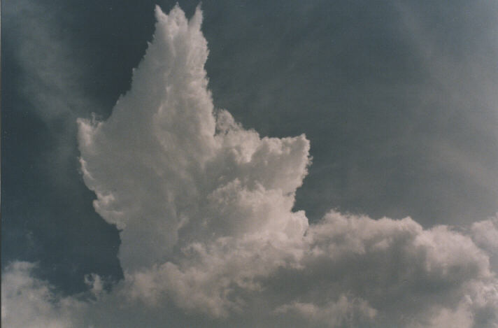 cirrus cirrus_cloud : Tenterfield, NSW   5 October 1998