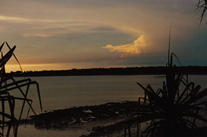 contributions received : Darwin, NT<BR>Photo by John Bath   14 October 1998