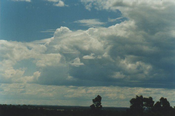 cumulus congestus : Rooty Hill, NSW   26 October 1998