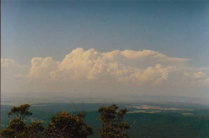 cumulus congestus : Mt Sugarloaf, NSW   7 November 1998