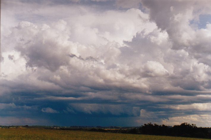 thunderstorm cumulonimbus_calvus : Rooty Hill, NSW   13 November 1998