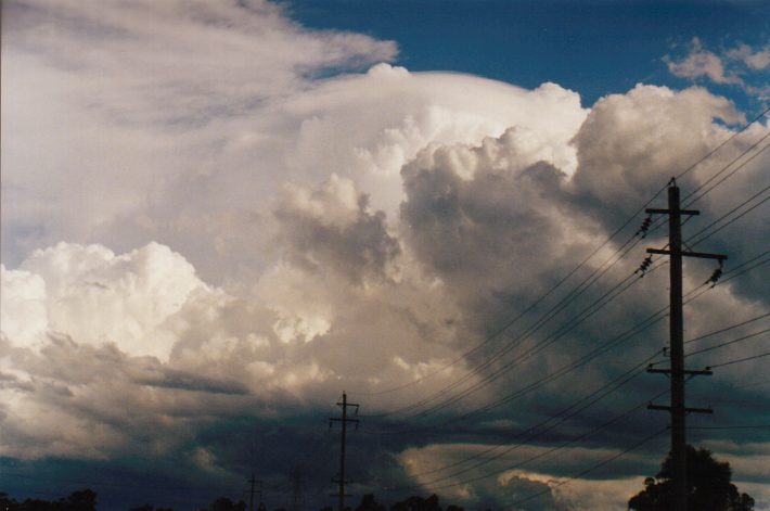 pileus pileus_cap_cloud : Cecil Park, NSW   13 November 1998