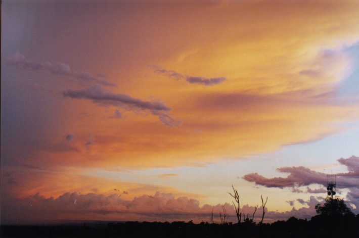 cumulus mediocris : Horsley Park, NSW   13 November 1998