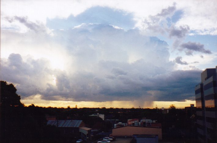 contributions received : Burwood, NSW<BR>Photo by Matt Smith   13 November 1998