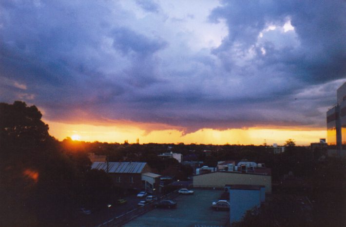 contributions received : Burwood, NSW<BR>Photo by Matt Smith   13 November 1998