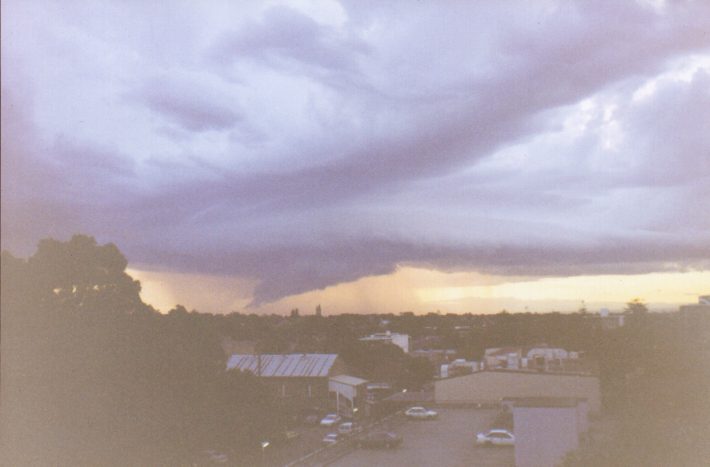 contributions received : Burwood, NSW<BR>Photo by Matt Smith   13 November 1998