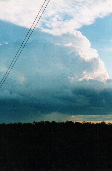 contributions received : Sydney, NSW<BR>Photo by Rune Peitersen   13 November 1998