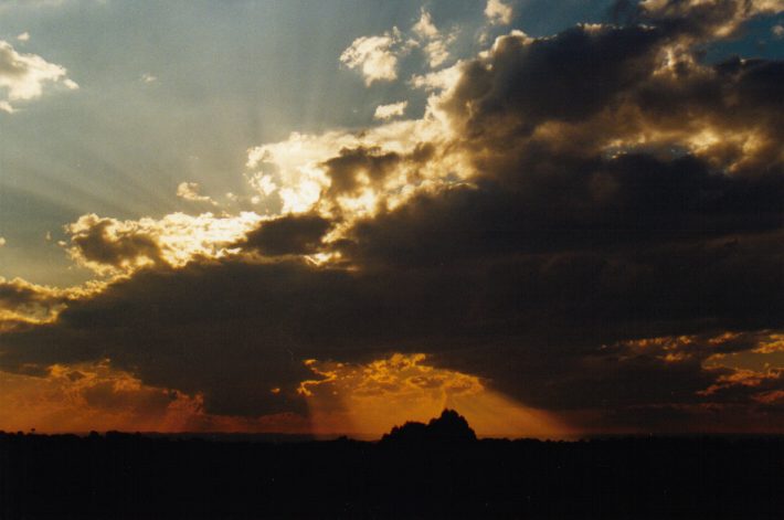 cumulus mediocris : Rooty Hill, NSW   15 November 1998
