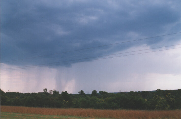 cumulonimbus thunderstorm_base : Warragamba, NSW   11 December 1998
