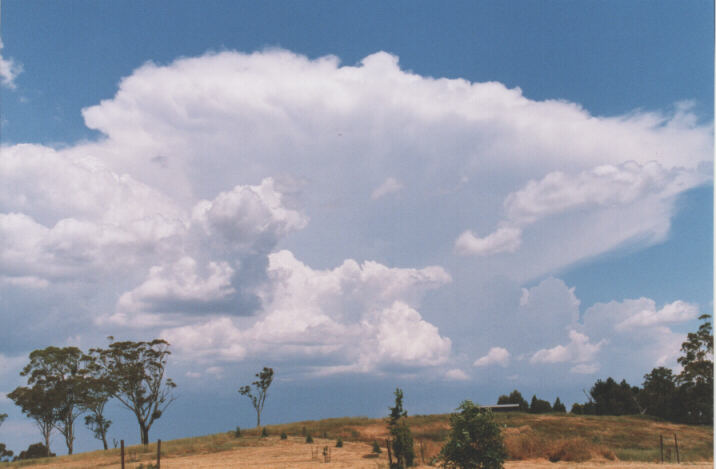 anvil thunderstorm_anvils : Lithgow, NSW   13 December 1998
