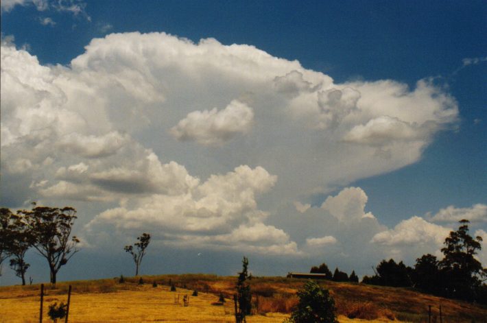 cumulus congestus : Lithgow, NSW   13 December 1998