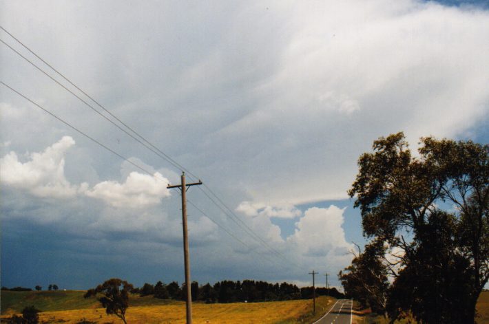 anvil thunderstorm_anvils : Jenolan Caves Rd, NSW   13 December 1998