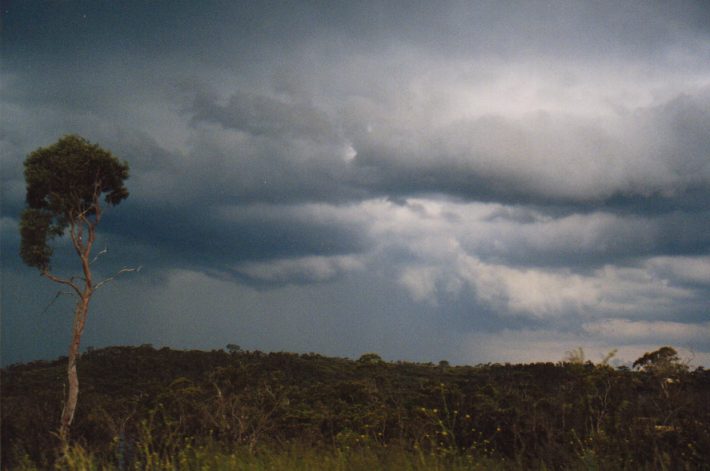 cumulonimbus thunderstorm_base : Lithgow, NSW   13 December 1998